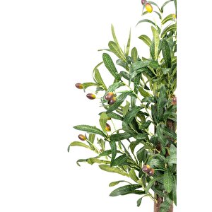 Taş Detaylı Siyah Saksıda 60 Cm Yoğun Yapraklı Yapay Benjamin Ağacı Zeytin