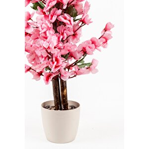 Taş Detaylı Siyah Saksıda 60 Cm Yoğun Yapraklı Yapay Benjamin Ağacı Pembe