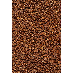 Kahve Çekirdekleri Temalı Cafe Duvar Kağıdı Baskı - Dkb274079