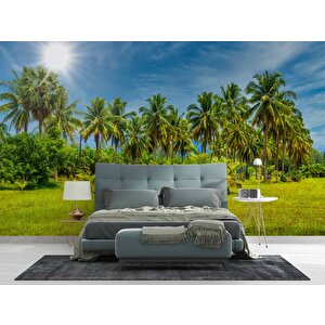 Palmiye Ağaçlı Duvar Kağıdı Baskı - Dkm252072 325x280 cm