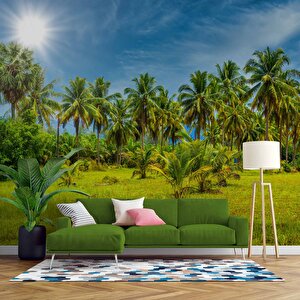Palmiye Ağaçlı Duvar Kağıdı Baskı - Dkm252122 525x315 cm