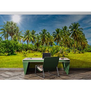 Palmiye Ağaçlı Duvar Kağıdı Baskı - Dkm252059