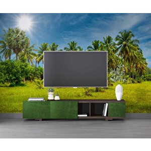Palmiye Ağaçlı Duvar Kağıdı Baskı - Dkm252102 550x300 cm