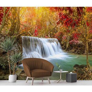 Sonbahar Orman Ve Şelale Manzaralı Duvar Kağıdı