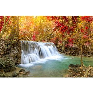 Sonbahar Orman Ve Şelale Manzaralı Duvar Kağıdı