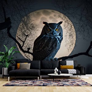 Baykuş Ve Ay Temalı Duvar Kağıdı Baskı - Dkm624042 800x240 cm