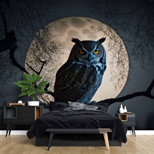 Baykuş Ve Ay Temalı Duvar Kağıdı Baskı - Dkm624042 800x240 cm