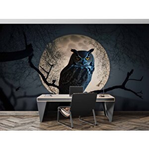 Baykuş Ve Ay Temalı Duvar Kağıdı Baskı - Dkm624042 800x240 cm