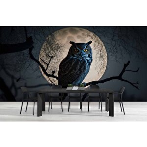 Baykuş Ve Ay Temalı Duvar Kağıdı Baskı - Dkm624042