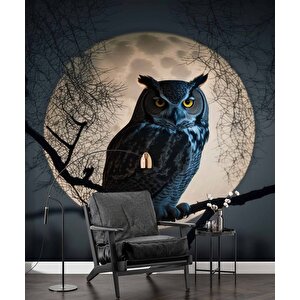 Baykuş Ve Ay Temalı Duvar Kağıdı Baskı - Dkm624042