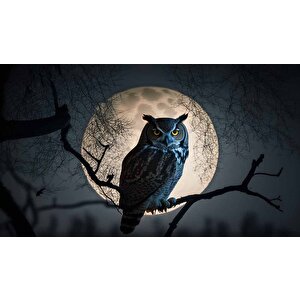 Baykuş Ve Ay Temalı Duvar Kağıdı Baskı - Dkm624042