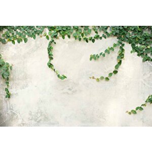 Duvar Dokulu Sarmaşık Dekorlu Duvar Kağıdı - Dkm570026