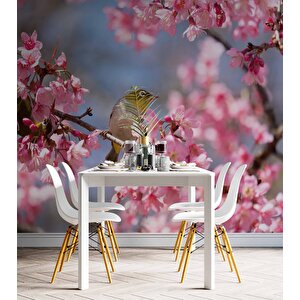 Pembe Çiçek Ve Kuş Manzaralı Duvar Kağıdı - Dkm743110