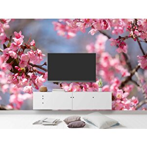 Pembe Çiçek Ve Kuş Manzaralı Duvar Kağıdı - Dkm743024