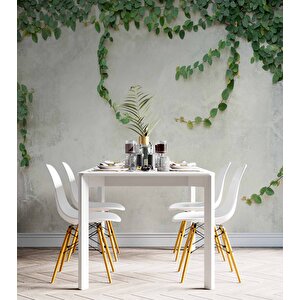 Duvar Dokulu Sarmaşık Dekorlu Duvar Kağıdı - Dkm570044