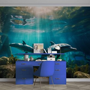 Denizaltı Yunus Balığı Manzaralı Duvar Kağıdı - Dkm833087
