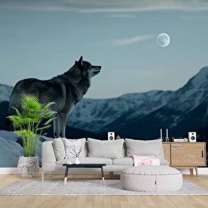 Kış Ve Kurt Manzaralı Duvar Kağıdı - Dkm842095 375x300 cm