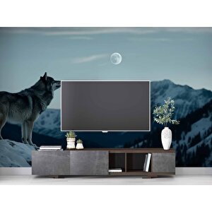 Kış Ve Kurt Manzaralı Duvar Kağıdı - Dkm842047 225x260 cm