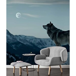 Kış Ve Kurt Manzaralı Duvar Kağıdı - Dkm842016