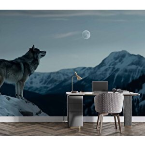 Kış Ve Kurt Manzaralı Duvar Kağıdı - Dkm842108