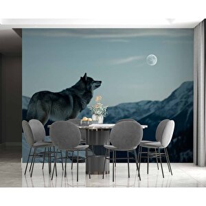 Kış Ve Kurt Manzaralı Duvar Kağıdı - Dkm842108