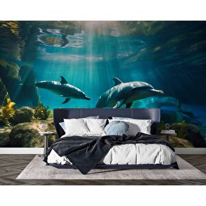 Denizaltı Yunus Balığı Manzaralı Duvar Kağıdı - Dkm833101 525x300 cm