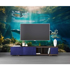 Denizaltı Yunus Balığı Manzaralı Duvar Kağıdı - Dkm833101 525x300 cm