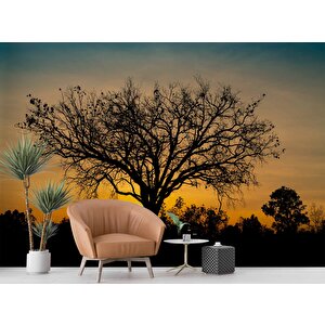 Gün Batımı Ve Ağaç Temalı Duvar Kağıdı Baskı - Dkm623077