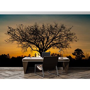 Gün Batımı Ve Ağaç Temalı Duvar Kağıdı Baskı - Dkm623107