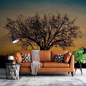 Gün Batımı Ve Ağaç Temalı Duvar Kağıdı Baskı - Dkm623060 550x260 cm