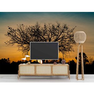 Gün Batımı Ve Ağaç Temalı Duvar Kağıdı Baskı - Dkm623060 550x260 cm