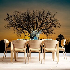 Gün Batımı Ve Ağaç Temalı Duvar Kağıdı Baskı - Dkm623060