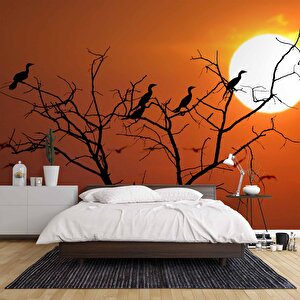 Günbatımı Ağaç Ve Kuş Manzaralı Duvar Kağıdı - Dkm720112 275x315 cm