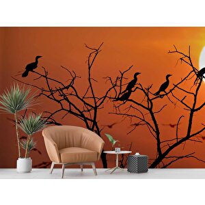 Günbatımı Ağaç Ve Kuş Manzaralı Duvar Kağıdı - Dkm720112