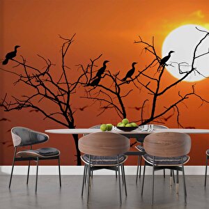 Günbatımı Ağaç Ve Kuş Manzaralı Duvar Kağıdı - Dkm720115