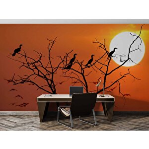Günbatımı Ağaç Ve Kuş Manzaralı Duvar Kağıdı - Dkm720061