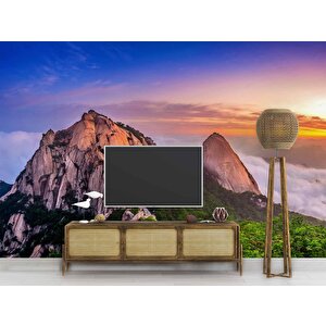 Dağ Gökyüzü Ve Orman Manzaralı Duvar Kağıdı - Dkm855049 275x260 cm