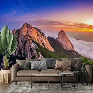 Dağ Gökyüzü Ve Orman Manzaralı Duvar Kağıdı - Dkm855100 500x300 cm