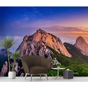 Dağ Gökyüzü Ve Orman Manzaralı Duvar Kağıdı - Dkm855100