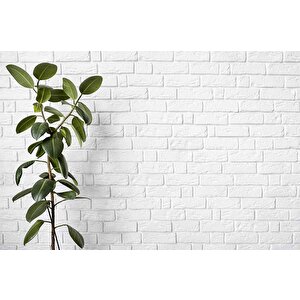 Beyaz Tuğla Zeminli Yaprak Temalı Duvar Kağıdı - Dkm575071