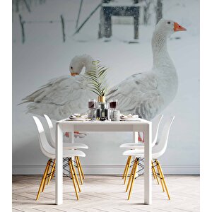 Kar Ve Kaz Manzaralı Duvar Kağıdı - Dkm849117