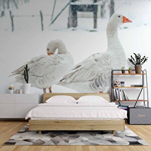 Kar Ve Kaz Manzaralı Duvar Kağıdı - Dkm849052 350x260 cm