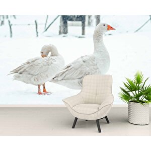 Kar Ve Kaz Manzaralı Duvar Kağıdı - Dkm849052