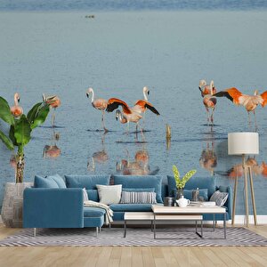 Deniz Ve Flamingo Temalı Duvar Kağıdı - Dkm671117 400x315 cm