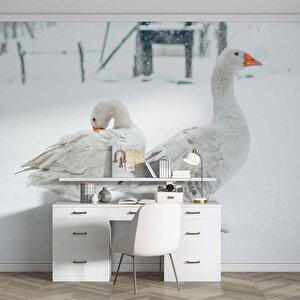 Kar Ve Kaz Manzaralı Duvar Kağıdı - Dkm849023 100x240 cm