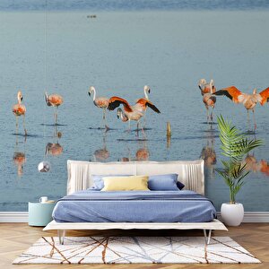 Deniz Ve Flamingo Temalı Duvar Kağıdı - Dkm671123 550x315 cm