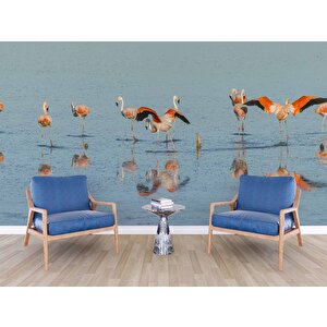 Deniz Ve Flamingo Temalı Duvar Kağıdı - Dkm671123
