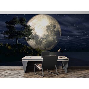 Ay Ve Gece Manzarası Duvar Kağıdı - Dkm465041