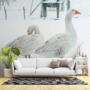Kar Ve Kaz Manzaralı Duvar Kağıdı - Dkm849120 475x315 cm