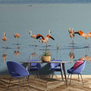 Deniz Ve Flamingo Temalı Duvar Kağıdı - Dkm671091